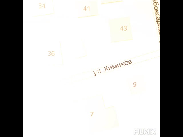 Маленькая биография Великого Маэстро( продолжение следует)