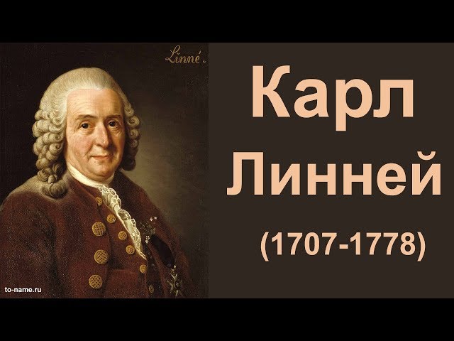Карл Линней — биографический очерк