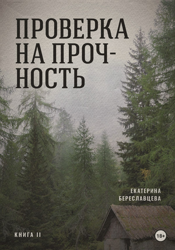 Книги о приключениях Проверка на прочность(Екатерина Береславцева) 