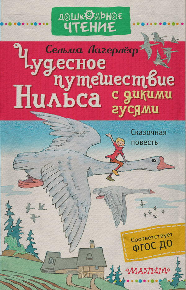 Казки Чудесное путешествие Нильса с дикими гусями(Сельма Лагерлеф) 