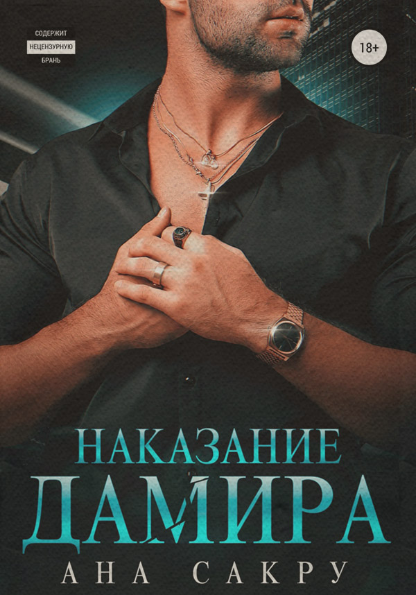 Роман Наказание Дамира( Ана Сакру) 
