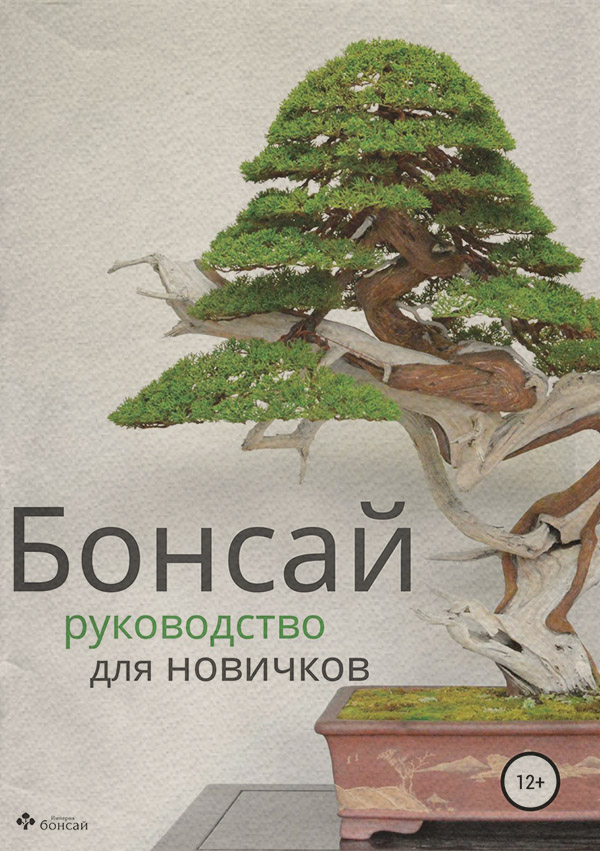 Хобби / увлечения Бонсай – руководство для начинающих(Империя бонсай) 