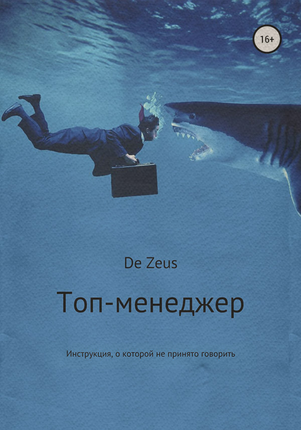  Топ-менеджер. Инструкция, о которой не принято говорить( De Zeus) 