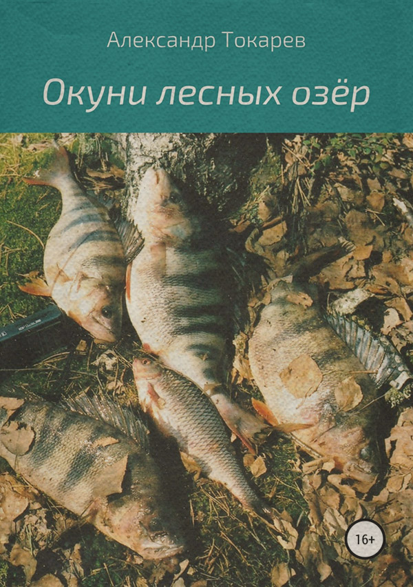  Окуни лесных озёр(Александр Токарев) 