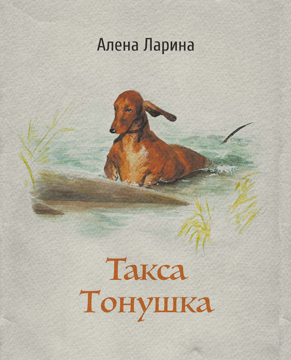 Домашние животные Такса Тонушка(Алёна Ларина) 