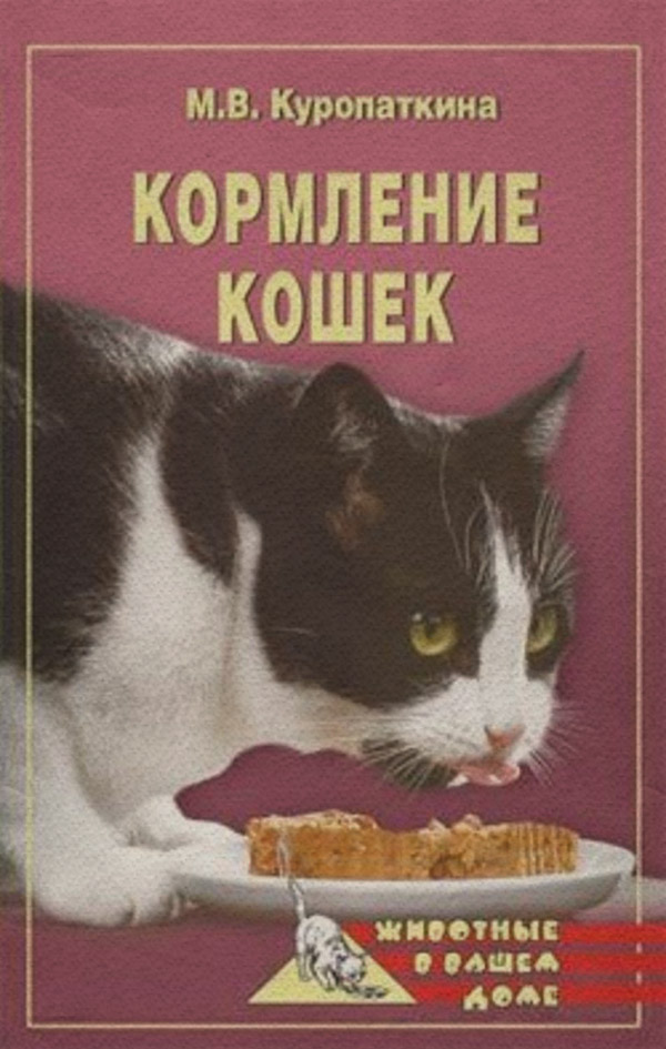 Кормление кошек