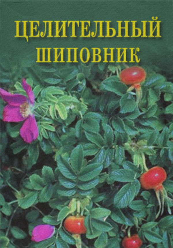 Здоров'я Целительный шиповник(Иван Дубровин) 