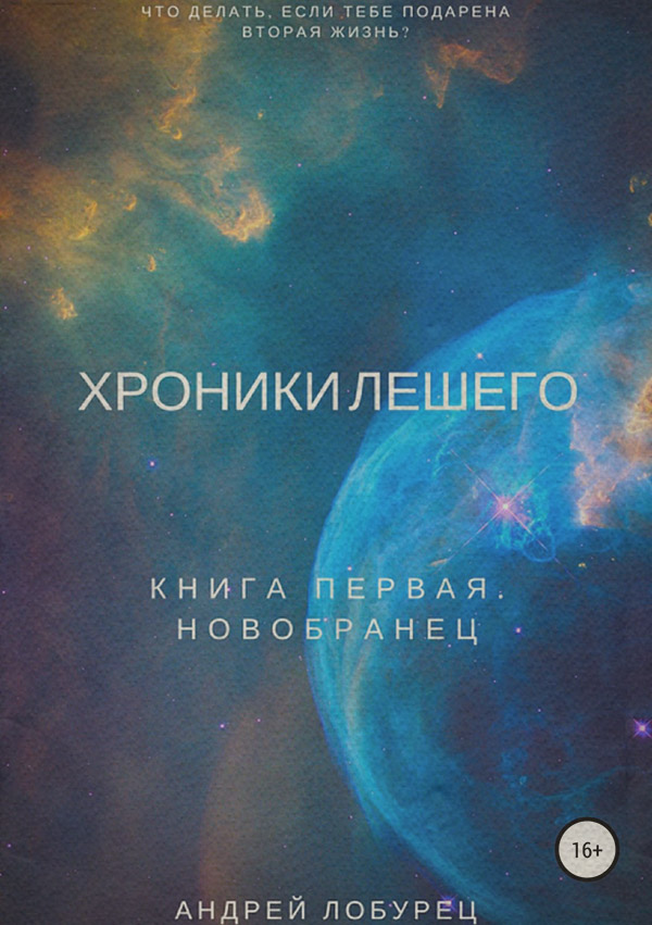 Попаданці Хроники Лешего. Книга первая. Новобранец(Андрей Лобурец) 