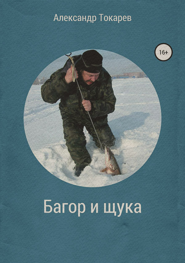  Багор и щука. Сборник(Александр Токарев) 