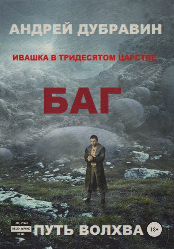 Попаданці БАГ(Андрей Дубравин) 