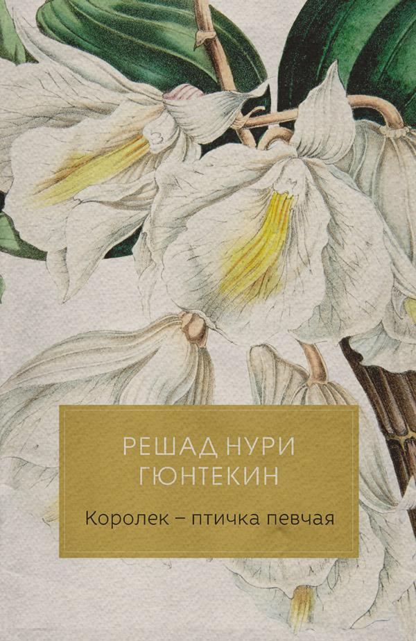 Роман Птичка певчая(Решад Гюнтекин) 