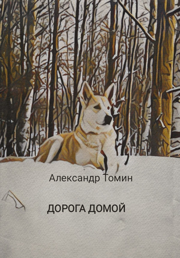 Книги о приключениях Дорога домой(Александр Томин) 
