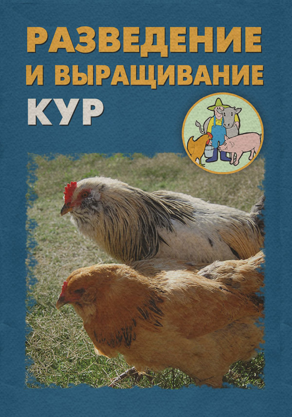 Разведение и выращивание кур(Илья Мельников) 