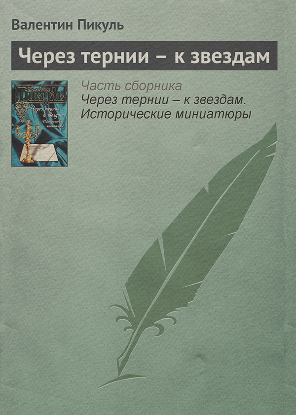 Через тернии – к звездам