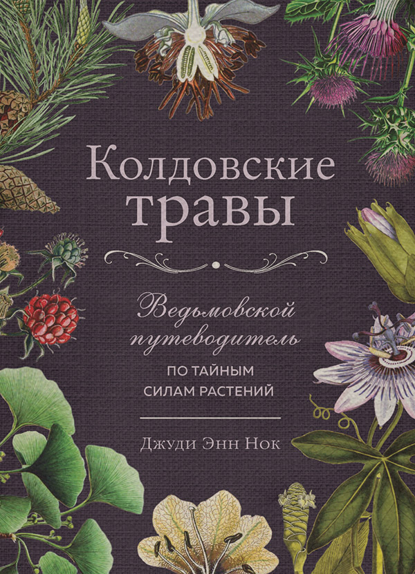 Магия / колдовство Колдовские травы. Ведьмовской путеводитель по тайным силам растений(Джуди Энн Нок) 