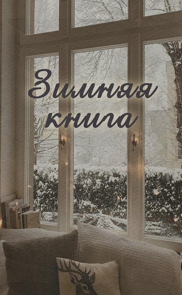 Зимняя книга