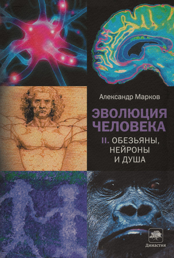 Обезьяны, нейроны и душа