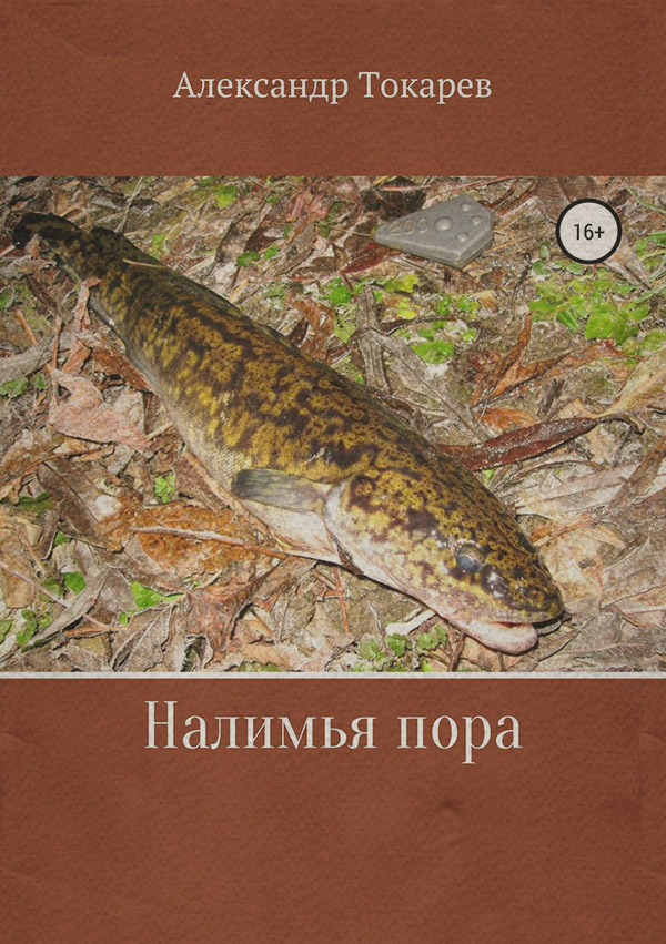 Налимья пора(Александр Токарев) 