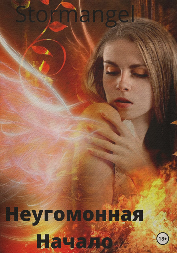 Роман Неугомонная( Stormangel) 
