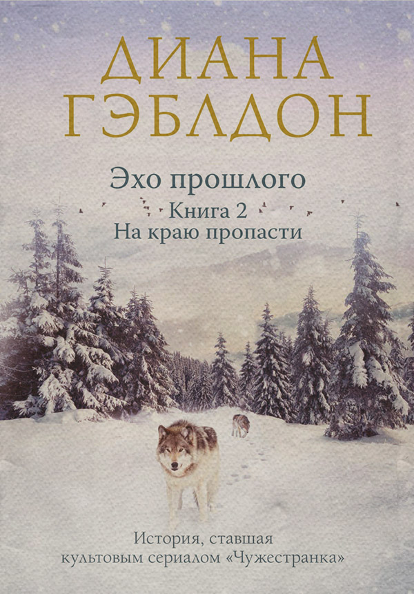Эхо прошлого. Книга 2. На краю пропасти