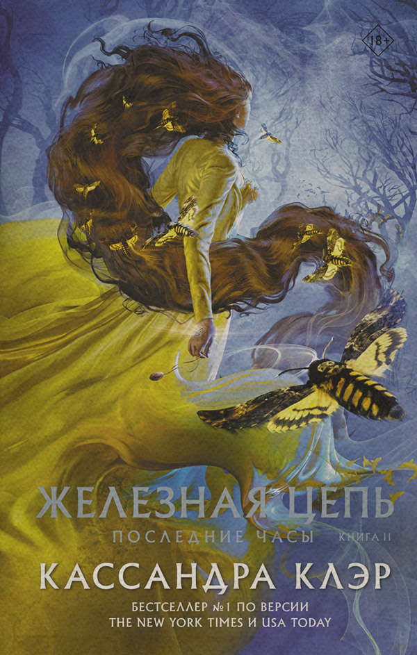 Последние часы. Книга II. Железная цепь