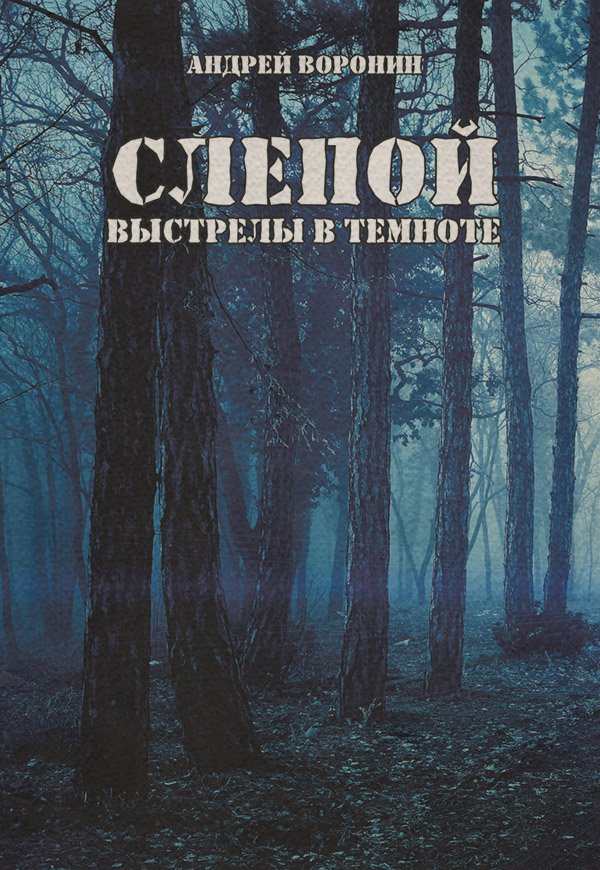 Боевики Слепой. Выстрелы в темноте(Андрей Воронин) 