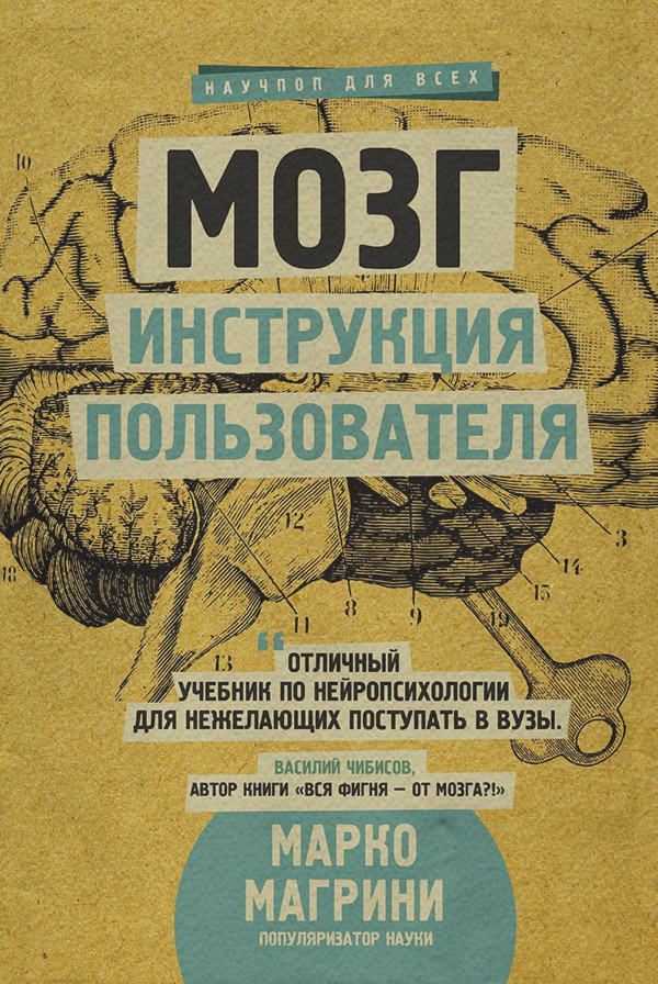 Нейропсихологія Мозг. Инструкция пользователя(Марко Магрини) 