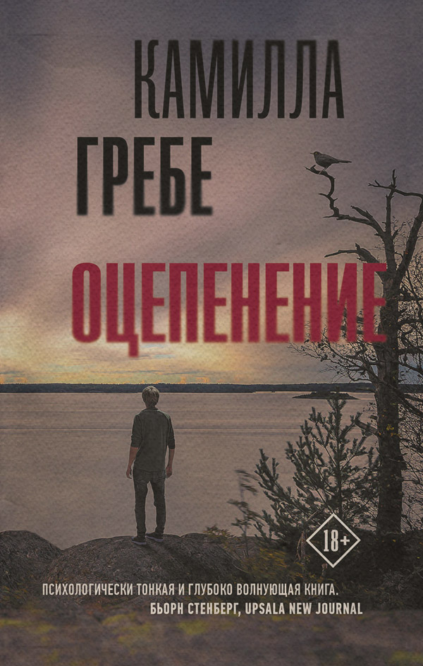Зарубіжні детективи Оцепенение(Камилла Гребе) 