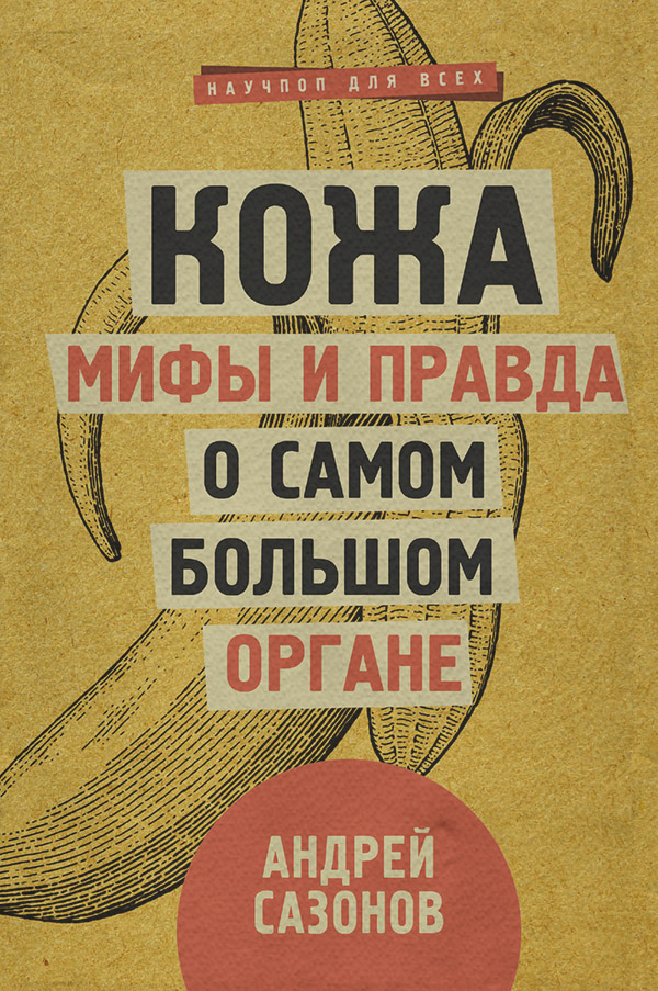 Кожа: мифы и правда о самом большом органе