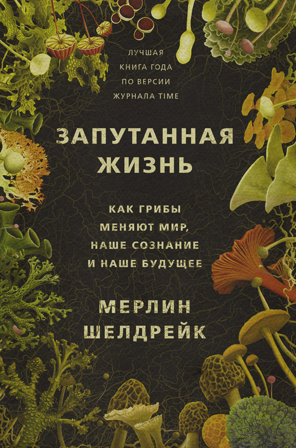 Зарубіжна освітня література Запутанная жизнь. Как грибы меняют мир, наше сознание и наше будущее(Мерлин Шелдрейк) 