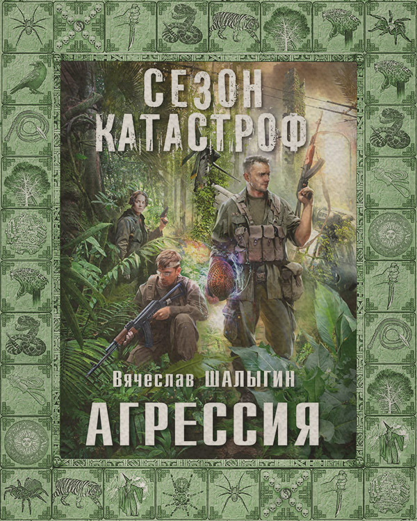 Попаданці Агрессия(Вячеслав Шалыгин) 
