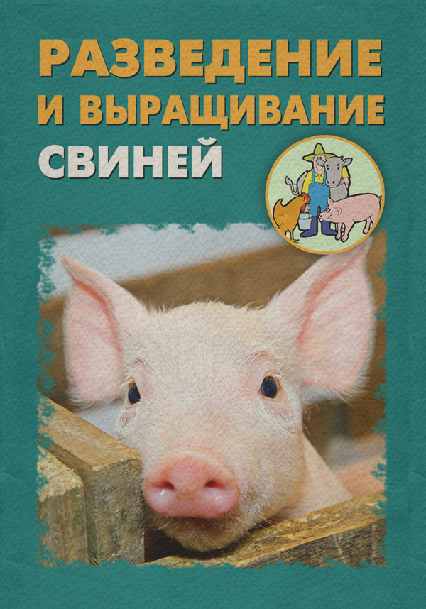 Разведение и выращивание свиней(Илья Мельников) 