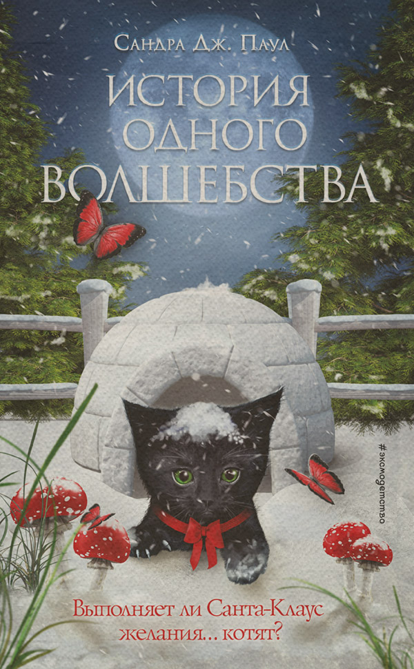 Дитяча проза История одного волшебства(Сандра Паул) 
