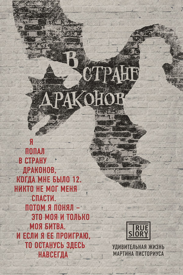  В стране драконов. Удивительная жизнь Мартина Писториуса(Мартин Дэвис) 