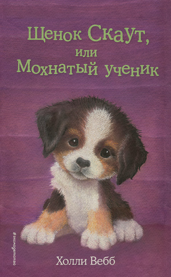  Щенок Скаут, или Мохнатый ученик(Холли Вебб) 