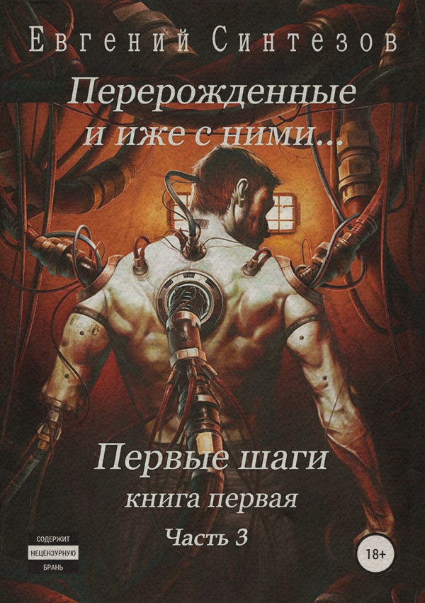 Попаданці Перерожденные и иже с ними… Первые шаги. Книга первая. Часть третья(Евгений Синтезов) 