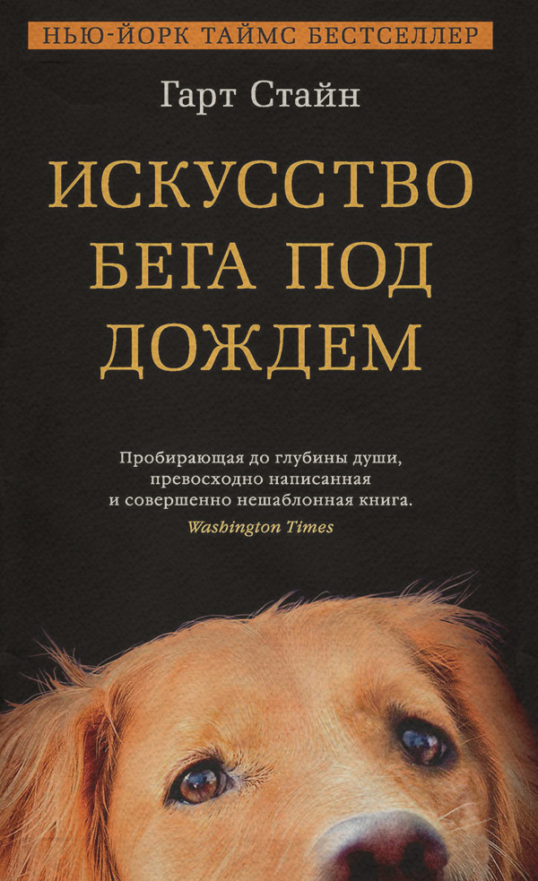 Искусство бега под дождем