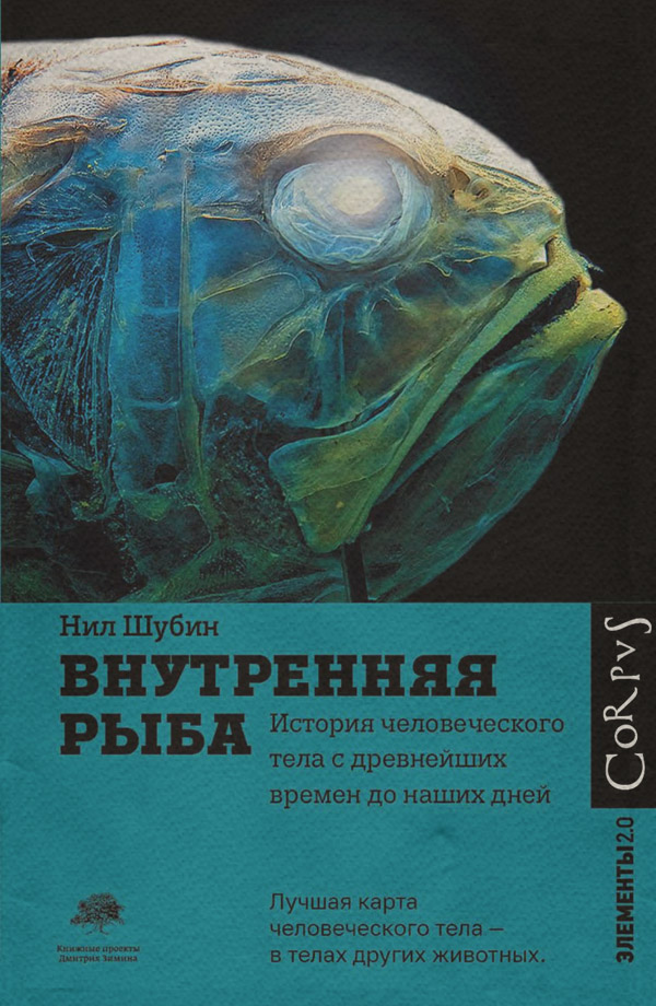  Внутренняя рыба. История человеческого тела с древнейших времен до наших дней(Нил Шубин) 